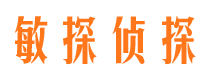 矿区市侦探调查公司